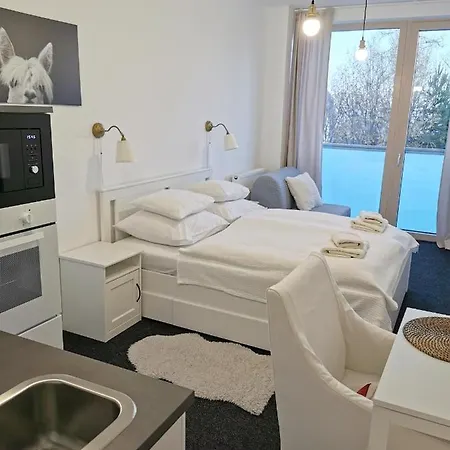 Bernard 1.10 * Vysoke Tatry